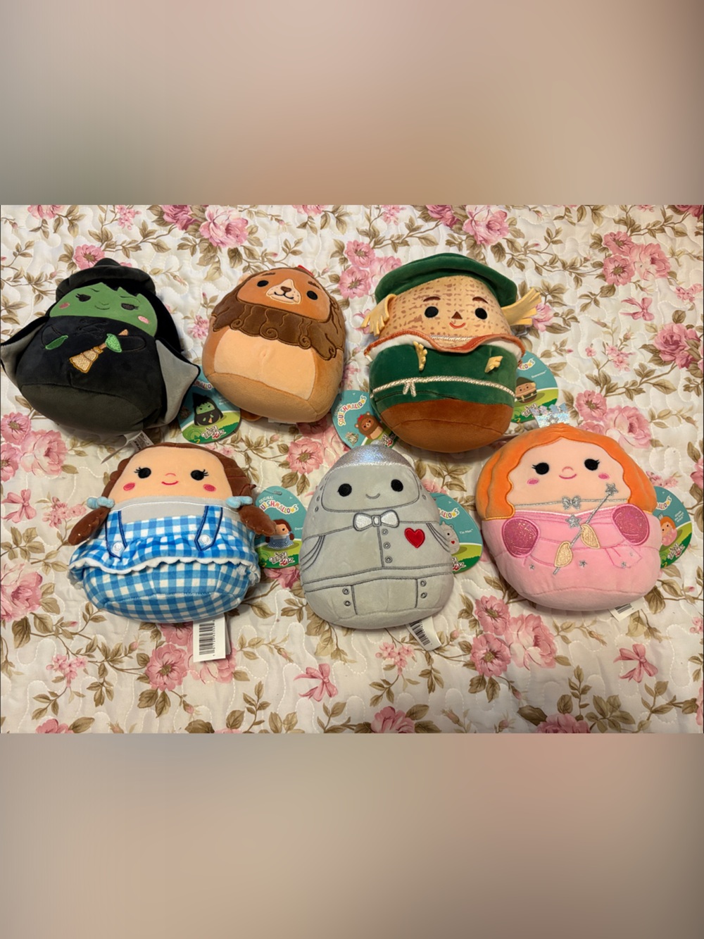Squishmallows Wizard of Oz Plush Set - Pink, Blue, Green, Gray, Black, Brown